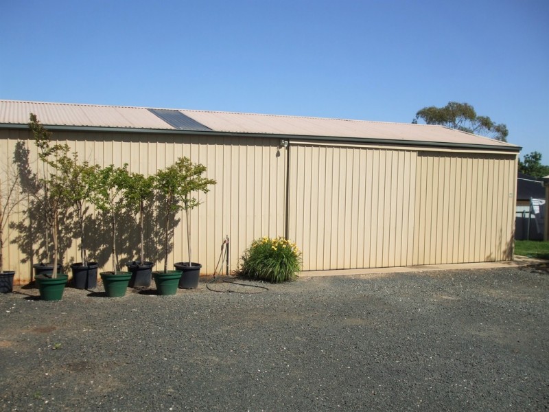 100 South Avenue, Bordertown SA 5268