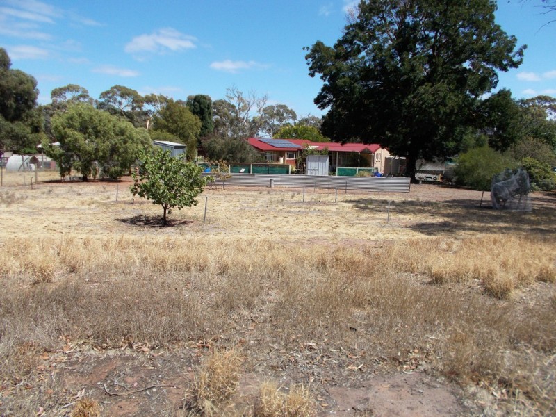 12 Naracoorte Road, Bordertown SA 5268