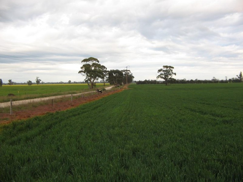 Lot 275 Pitcher Lane, Bordertown SA 5268