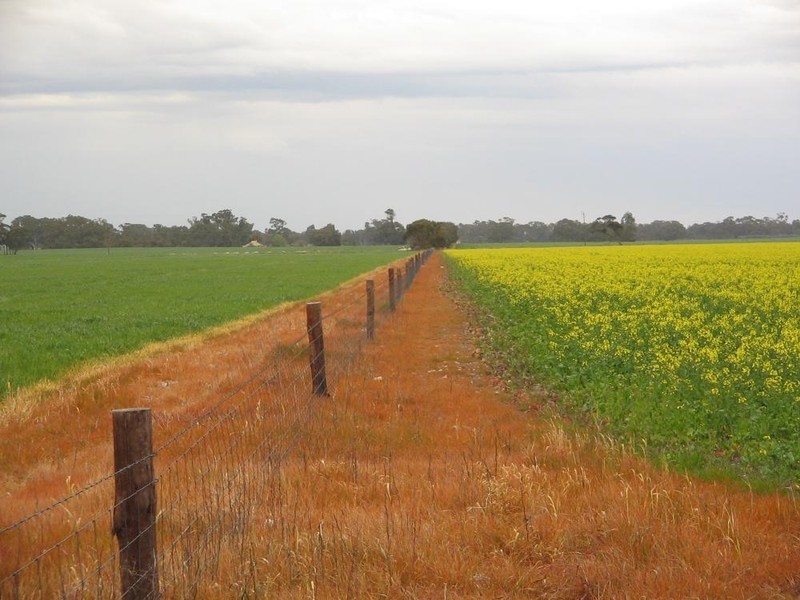 Lot 275 Pitcher Lane, Bordertown SA 5268