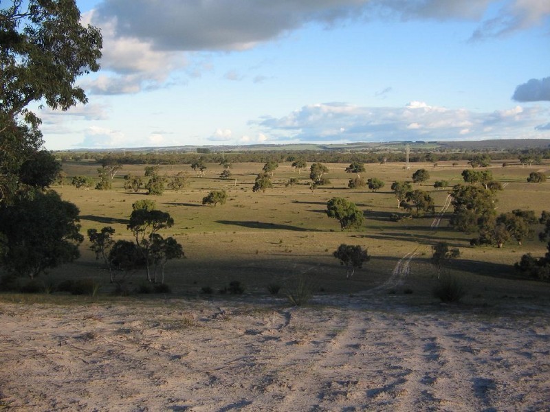 Lots 1 and 2 Broadview Road, Padthaway SA 5271