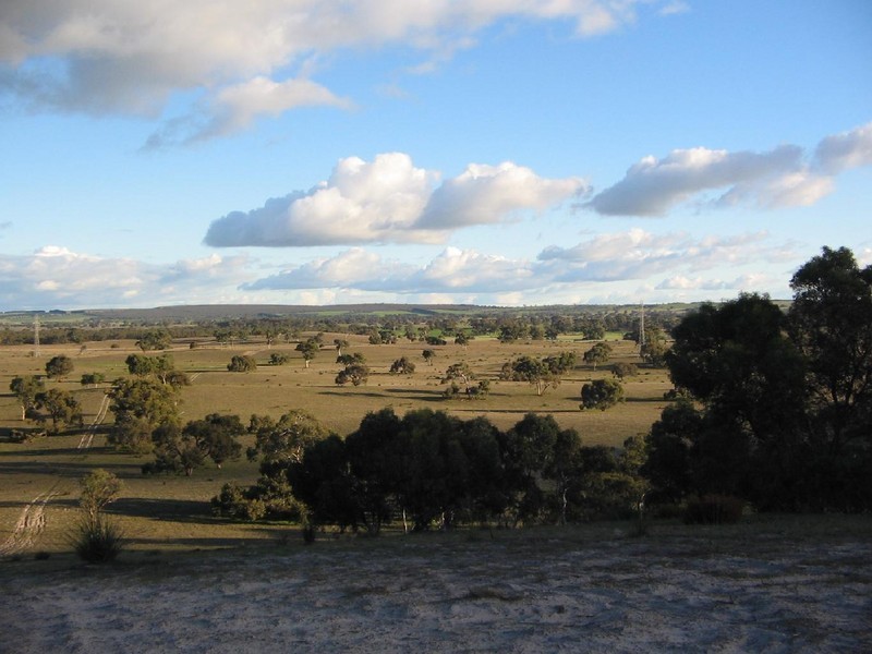 Lots 1 and 2 Broadview Road, Padthaway SA 5271