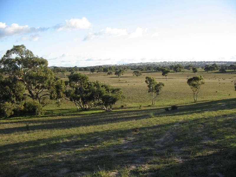 Lots 1 and 2 Broadview Road, Padthaway SA 5271