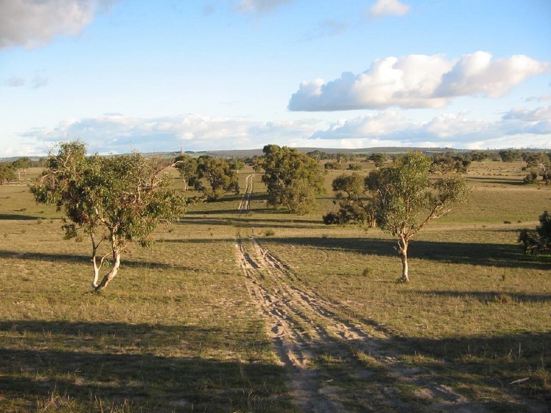 Lots 1 and 2 Broadview Road, Padthaway SA 5271