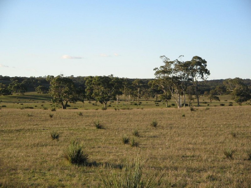 Lots 1 and 2 Broadview Road, Padthaway SA 5271