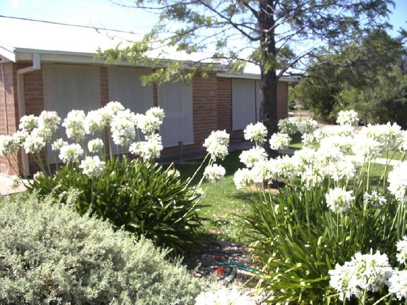 46 Salom Street, Bordertown SA 5268