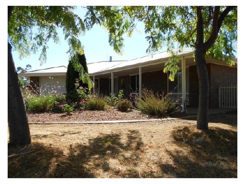 6 Thomas Court, Bordertown SA 5268