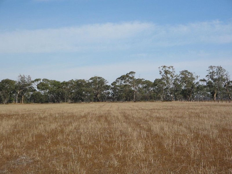 … Naracoorte Road, Bordertown SA 5268