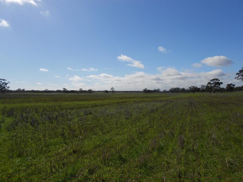 500 Bangham Road, Bordertown SA 5268