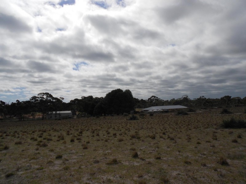 500 Bangham Road, Bordertown SA 5268