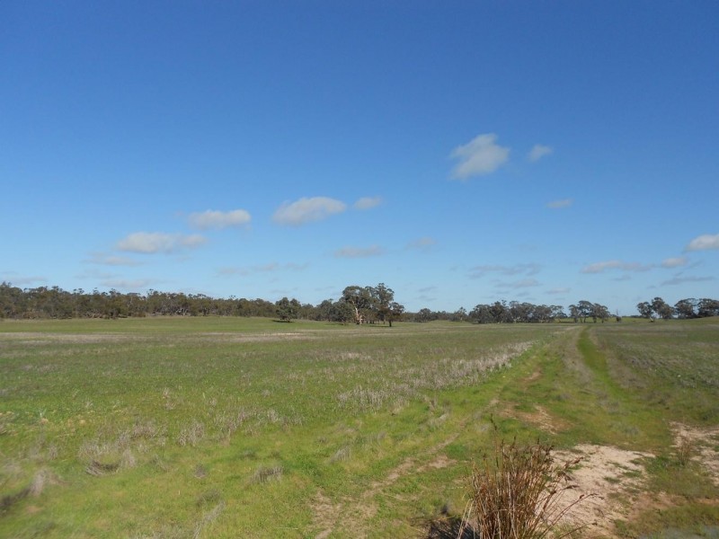 500 Bangham Road, Bordertown SA 5268