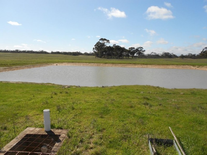 500 Bangham Road, Bordertown SA 5268