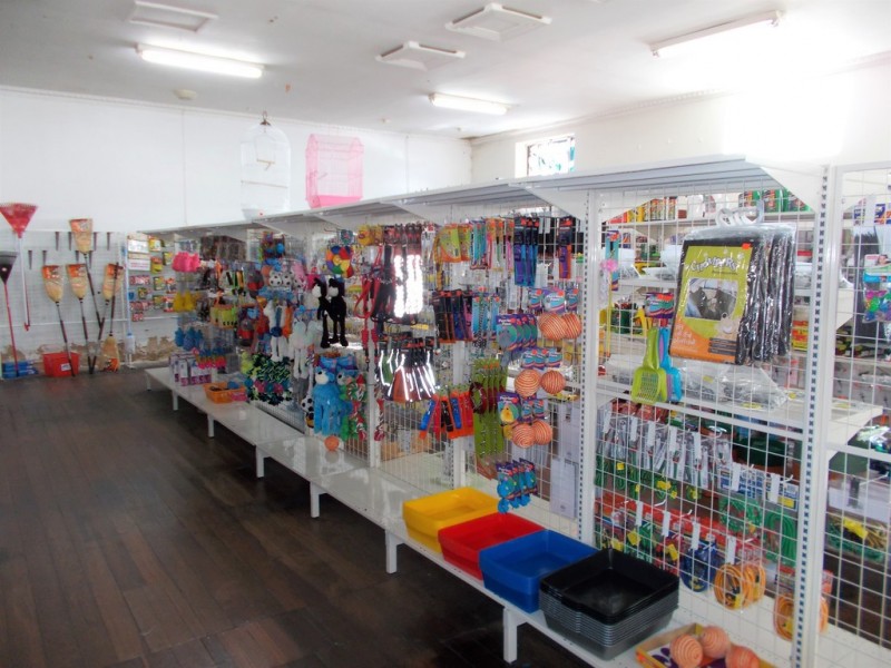 99 Woolshed Street, Bordertown SA 5268