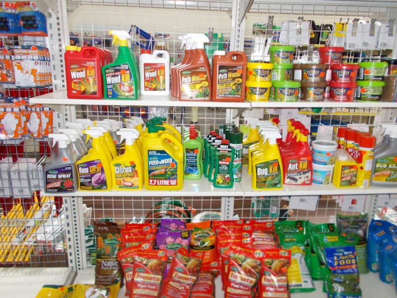 99 Woolshed Street, Bordertown SA 5268