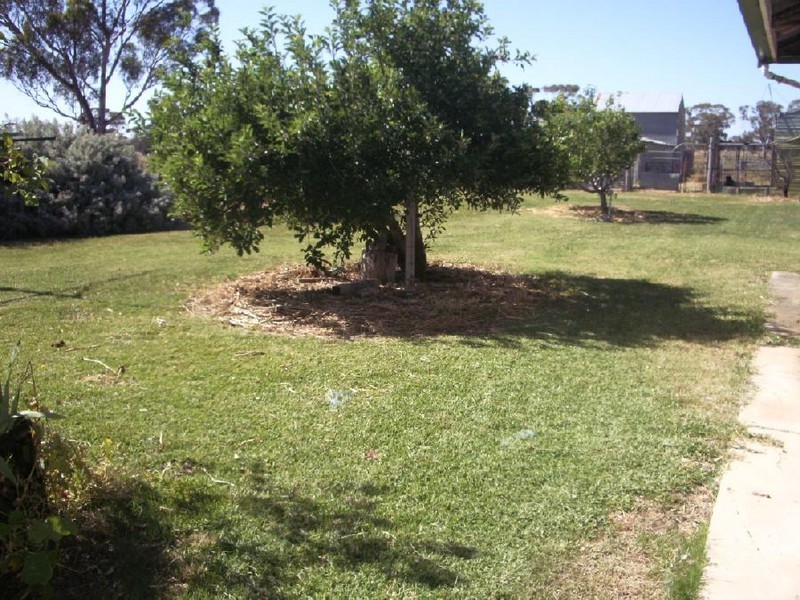 20 Hilliers Road, Mundulla SA 5270