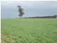 100 Creecoona Terrace, Bordertown SA 5268
