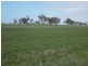 100 Creecoona Terrace, Bordertown SA 5268