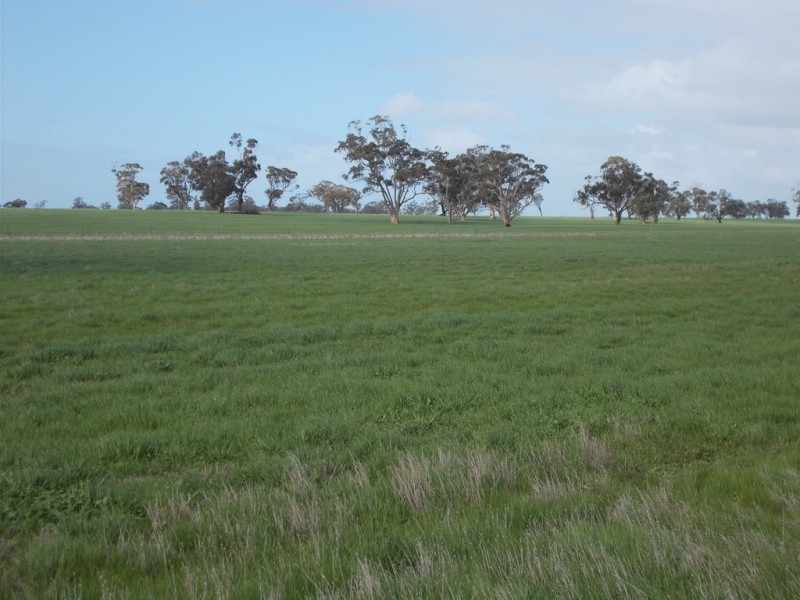 100 Creecoona Terrace, Bordertown SA 5268