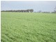 100 Creecoona Terrace, Bordertown SA 5268