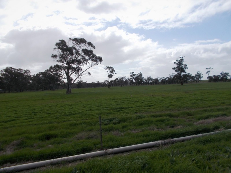 100 Creecoona Terrace, Bordertown SA 5268