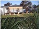 32  Milne Street, Bordertown SA 5268