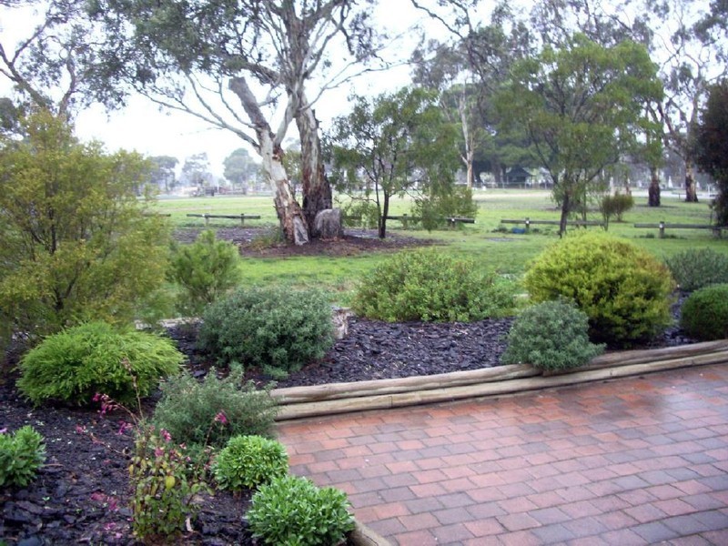 25 Tolmer Terrace, Bordertown SA 5268
