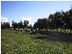 Lot 501 Mill Rd, Mundulla SA 5270