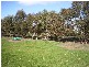 Lot 501 Mill Rd, Mundulla SA 5270