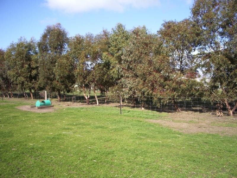 Lot 501 Mill Rd, Mundulla SA 5270