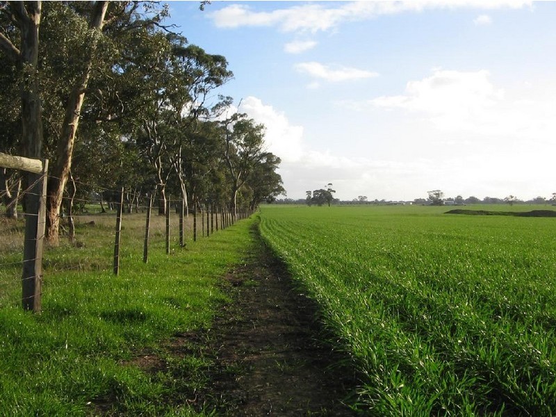 Lot 93 Rowney Road, Bordertown SA 5268