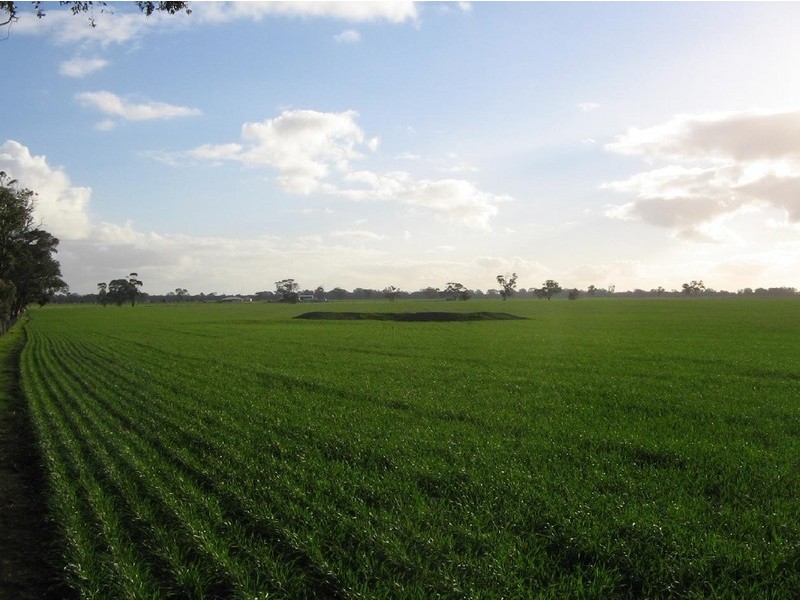 Lot 93 Rowney Road, Bordertown SA 5268