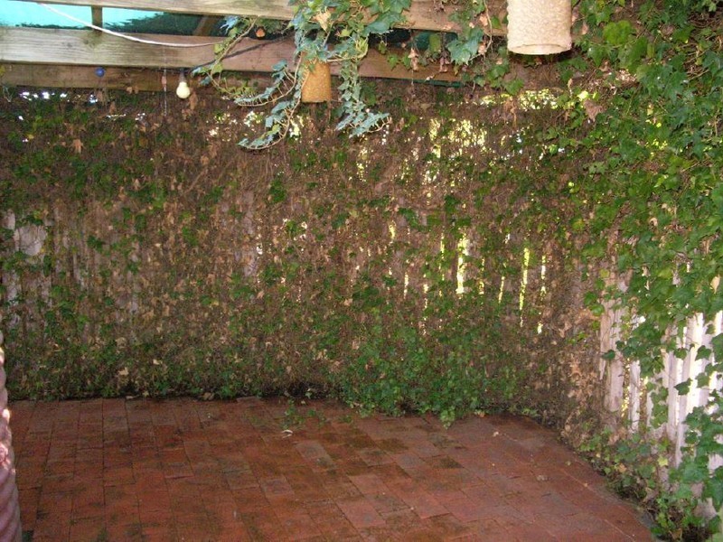 1 North Terrace, Mundulla SA 5270