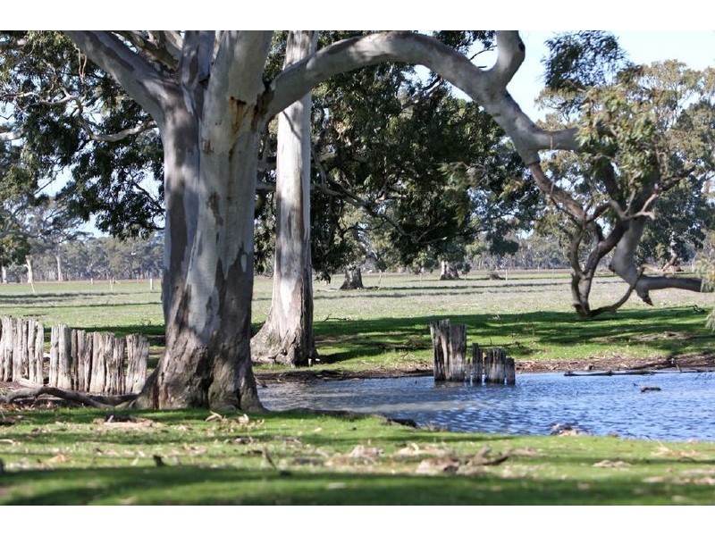 Sheridan Padthaway Rd, Padthaway SA 5271