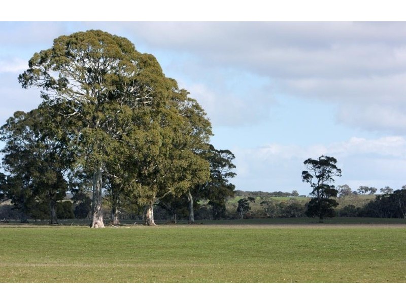 Sheridan Padthaway Rd, Padthaway SA 5271