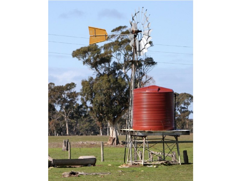 Sheridan Padthaway Rd, Padthaway SA 5271