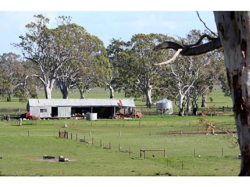 Sheridan Padthaway Rd, Padthaway SA 5271