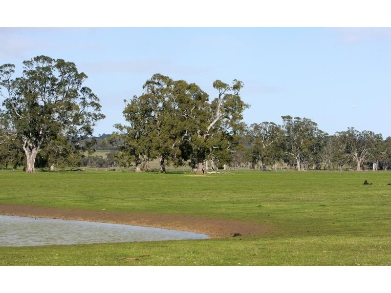 Sheridan Padthaway Rd, Padthaway SA 5271