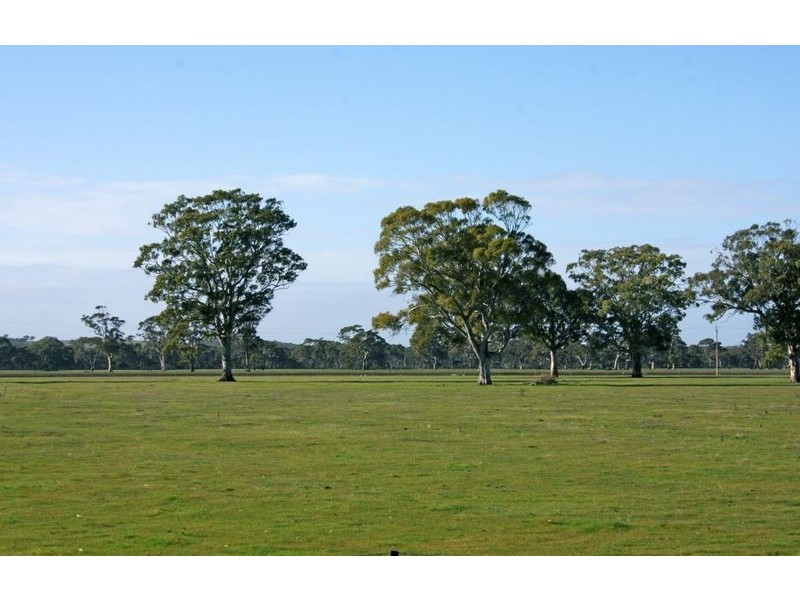 Sheridan Padthaway Rd, Padthaway SA 5271