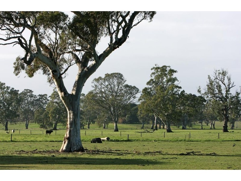 Sheridan Padthaway Rd, Padthaway SA 5271