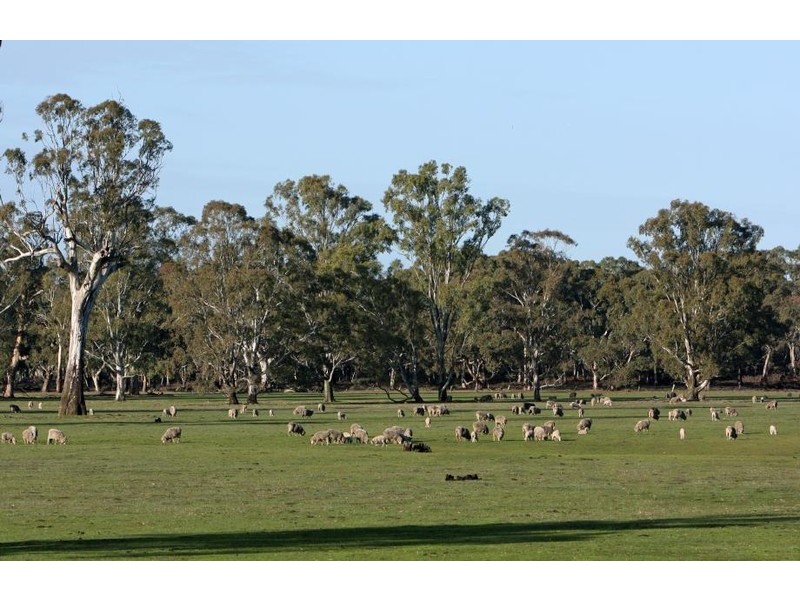 Sheridan Padthaway Rd, Padthaway SA 5271