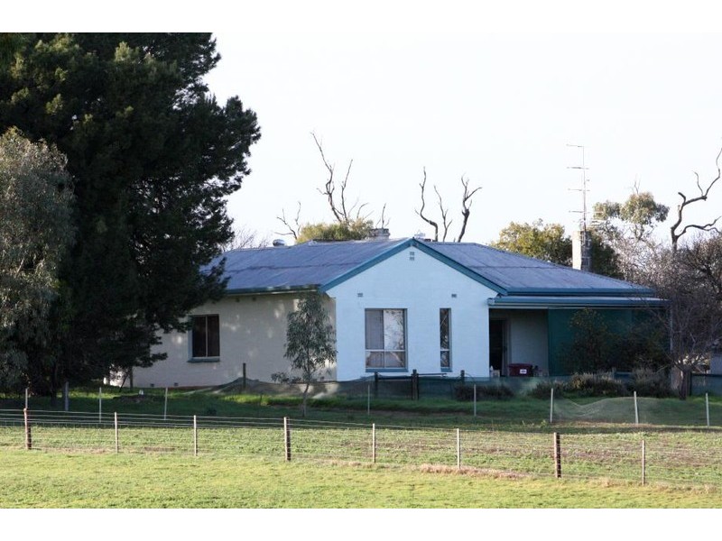 Sheridan Padthaway Rd, Padthaway SA 5271