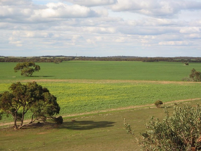 . Rowntree Road, Ki Ki SA 5261