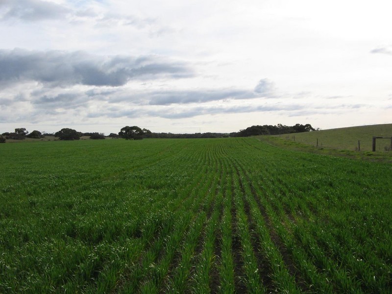 . Rowntree Road, Ki Ki SA 5261