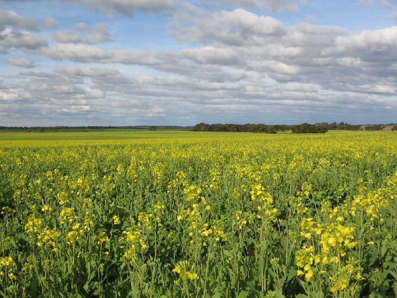 . Rowntree Road, Ki Ki SA 5261