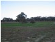 Lot 1 Sec. 94 Custon – Bangham Rd, Bangham SA 5268