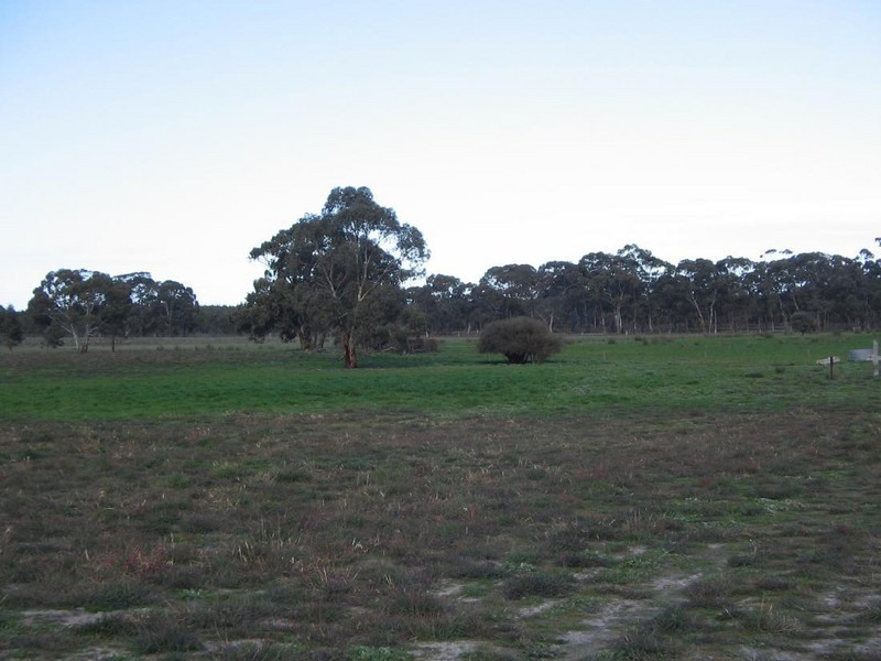 Lot 1 Sec. 94 Custon – Bangham Rd, Bangham SA 5268
