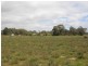 Lot 1 Sec. 94 Custon – Bangham Rd, Bangham SA 5268