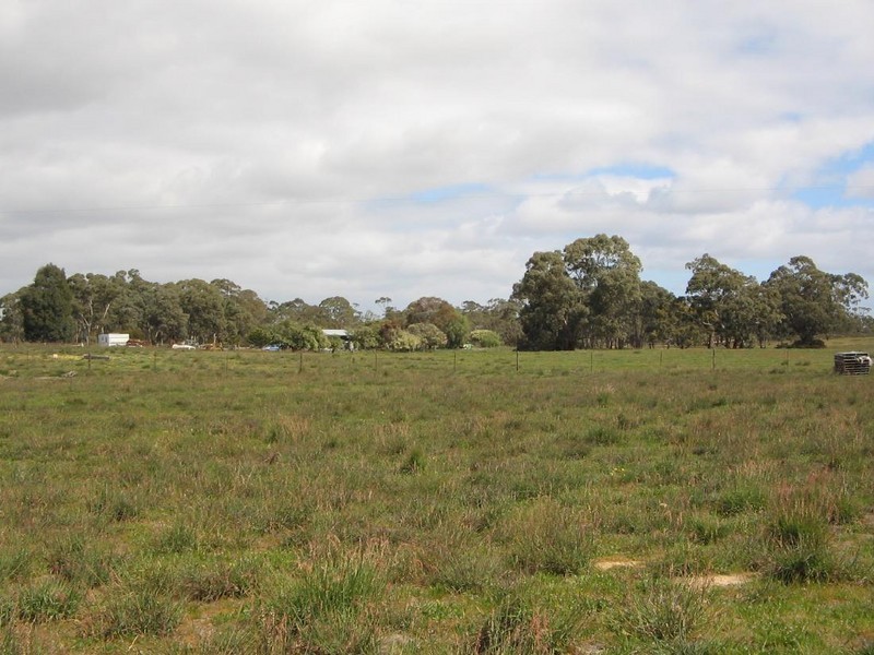 Lot 1 Sec. 94 Custon – Bangham Rd, Bangham SA 5268
