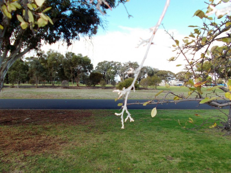 91 Park Terrace, Bordertown SA 5268