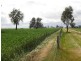 “Monard” Frances Road, Bordertown SA 5268